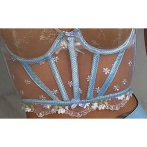 For love and lemons charlie corset med